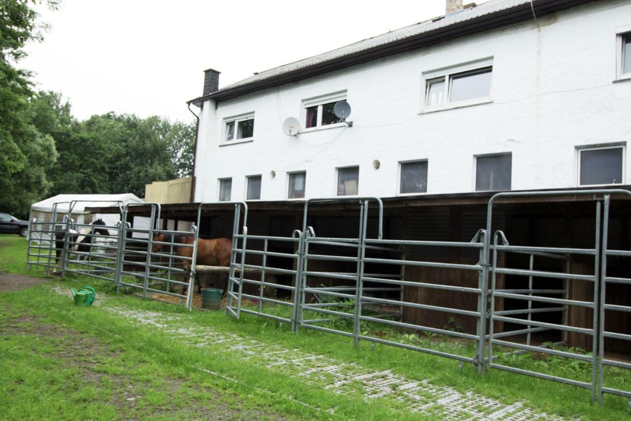 Ferienwohnung Ulrichstein/ Bobenhausen II Bobenhausen Zwei Exterior photo